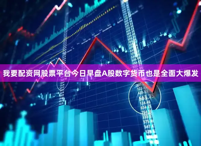 我要配资网股票平台今日早盘A股数字货币也是全面大爆发