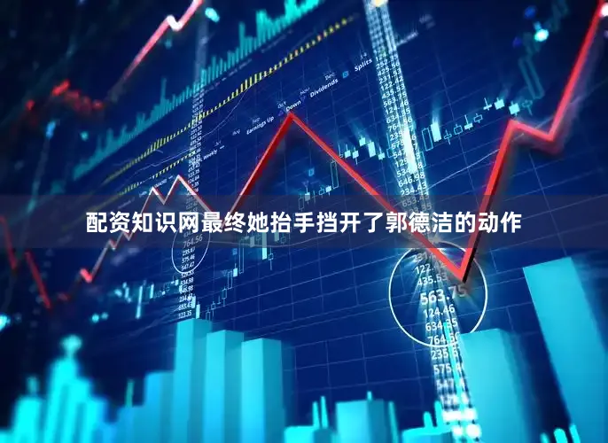 配资知识网最终她抬手挡开了郭德洁的动作