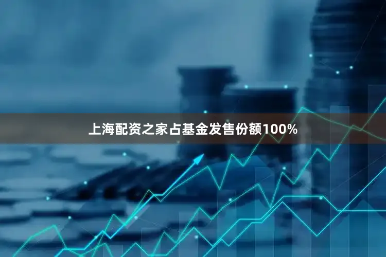 上海配资之家占基金发售份额100%